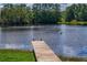 Picturesque view of the lake and mature trees; peaceful and scenic natural setting at 168 Pond Rd, Mount Dora, FL 32757