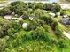 Aerial view capturing a charming neighborhood with mature trees, lush greenery, and tranquil lake at 25888 Se 157Th Ln, Umatilla, FL 32784