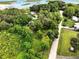 Beautiful aerial view showcasing a lush neighborhood with charming homes and serene surroundings at 25888 Se 157Th Ln, Umatilla, FL 32784