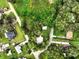 Picturesque aerial shot of homes nestled among trees with lush greenery, and a tranquil setting at 25888 Se 157Th Ln, Umatilla, FL 32784