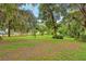 Lush backyard view showcasing well-maintained grass, mature trees, and a serene ambiance at 25888 Se 157Th Ln, Umatilla, FL 32784