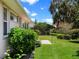 Lush backyard featuring vibrant greenery and beautiful landscaping at 4814 Saint Andrews Arc, Leesburg, FL 34748