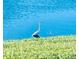 Beautiful backyard with pond and large heron standing at water's edge at 5412 County Road 125, Wildwood, FL 34785
