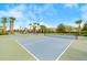 Community pickleball courts feature a well-maintained playing surface and lush landscaping at 8128 Penrose Pl, Wildwood, FL 34785
