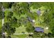 Aerial view of lush green landscape with trees and manicured lawns surrounding multiple homes at 9223 Silver Lake Dr, Leesburg, FL 34788