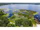 Expansive lake view showcasing water lilies, lush greenery, and tranquil scenery at 9223 Silver Lake Dr, Leesburg, FL 34788