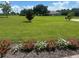Expansive backyard with lush green lawn, mature trees, and well manicured flower beds at 10301 Savannah Ridge Ln, Winter Garden, FL 34787