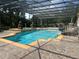Large screened pool featuring manicured landscaping, iron railings, and outdoor seating at 10301 Savannah Ridge Ln, Winter Garden, FL 34787