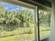Peaceful backyard view of lush, tropical greenery, glimpsed through an interior window at 113 Temple W Cv, Leesburg, FL 34748
