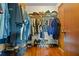 Organized walk-in closet with shelves, hanging racks, and ample storage for clothes and shoes at 14325 Manchester Ave, Groveland, FL 34736