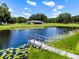 Beautiful pond view with a wooden dock, bordered by lush greenery, offers a peaceful and picturesque setting at 14325 Manchester Ave, Groveland, FL 34736