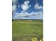 Backyard view overlooking a golf course on a sunny day with bright blue skies at 17329 Se 115Th Ter, Summerfield, FL 34491
