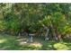 Lush backyard featuring mature trees, vibrant greenery, and a charming bird bath at 1855 Stacey Dr, Mount Dora, FL 32757