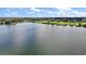 Expansive aerial view of the lake and surrounding homesites at 36914 Bee Meadow Ct, Eustis, FL 32736
