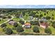 Scenic aerial view of a residential area showcasing lush green landscaping and well-maintained homes in a neighborhood at 36914 Bee Meadow Ct, Eustis, FL 32736