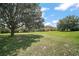 Expansive backyard with lush green grass and scattered mature trees, offering privacy and space at 36914 Bee Meadow Ct, Eustis, FL 32736