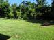 Large backyard featuring a manicured green lawn and mature foliage and greenery at 5016 Mcdonald Rd, Zellwood, FL 32798