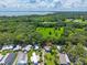 Aerial view of the property and surrounding area, featuring lush greenery and a glimpse of the lake at 10 Cocos Plumosa Dr, Eustis, FL 32726