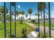 Inviting front yard showcasing lush greenery, palm trees, and well-maintained landscaping with a peek at neighboring homes at 10 Cocos Plumosa Dr, Eustis, FL 32726