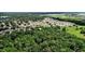 Aerial view of the property among lush trees and a residential area at 1702 Hoofprint Ct, Fruitland Park, FL 34731