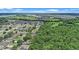 Aerial view of the property location, showcasing the house among trees at 1702 Hoofprint Ct, Fruitland Park, FL 34731