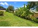 The backyard has lush greenery with banana trees along the side of the yard with an iron fence at 1892 Sanderling Dr, Clermont, FL 34711