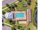 Overhead shot of a modern community pool, surrounded by manicured landscaping and walkways at 2755 Bobcat Chase Blvd, Oakland, FL 34787