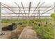 A view of the inside of the greenhouse with tables of plants for sale and clear roof at 32511 County Road 437, Sorrento, FL 32776