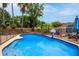 Sparkling swimming pool with fenced-in perimeter and lush landscaping creating a private oasis at 3309 Paisley Cir, Orlando, FL 32817