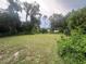 Lush backyard featuring mature trees, landscaping, and a peaceful, natural setting at 6616 Tuscawilla Dr, Leesburg, FL 34748