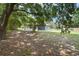 Backyard view with large tree at 8634 Garden Way Rd, Groveland, FL 34736