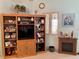 Cozy living area featuring built-in shelving, a small fireplace, and decorative accents at 163 Sweet Cir, Winter Haven, FL 33884