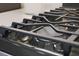 A close up of the black stove top with matching black grates at 2055 Merideth Ter, The Villages, FL 34762