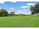Wide shot of the well manicured backyard with healthy green grass and trees bordering the landscape at 22125 Draw Bridge Dr, Leesburg, FL 34748