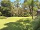 Lush green backyard featuring mature trees, providing a serene and private outdoor space at 29205 Old E Ml, Tavares, FL 32778