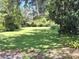 Spacious backyard with lush green grass, mature trees, and a serene, private setting at 29205 Old E Ml, Tavares, FL 32778