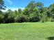 Expansive backyard showcasing lush green grass, mature trees, and a tranquil, private setting at 29205 Old E Ml, Tavares, FL 32778