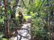 Lush walkway leading to the house, lined with verdant foliage and offering a tranquil entrance at 29205 Old E Ml, Tavares, FL 32778