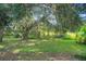 Green backyard featuring mature trees and lush groundcover in a natural setting at 32942 Rambling Oaks Ct, Leesburg, FL 34748