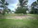 Expansive backyard with a tree, offering a serene outdoor space at 2947 Aldrich St, Eustis, FL 32726