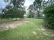 Spacious backyard featuring lush greenery and mature trees providing ample shade at 2947 Aldrich St, Eustis, FL 32726
