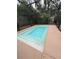 Private in-ground pool surrounded by a screened enclosure at 2947 Aldrich St, Eustis, FL 32726