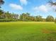 Vast green field with a tree line, blue skies and puffy white clouds at 5317 Butterfly Ct, Leesburg, FL 34748