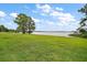Lush green lawn extending towards a serene lake under a partly cloudy sky at 9335 Silver Lake Dr, Leesburg, FL 34788