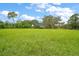 Expansive vacant land with lush green grass and scattered trees under a partly cloudy sky at 9335 Silver Lake Dr, Leesburg, FL 34788
