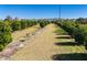 Aerial view of rows of trees in a citrus grove at 16385 Nw 112Th Ct, Reddick, FL 32686