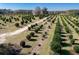 Rows of farmland with neatly planted trees at 16385 Nw 112Th Ct, Reddick, FL 32686