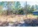 View of the property gate at 5919 Sw 124Th Terrace Rd, Ocala, FL 34481