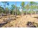 Wooded area of the property at 5919 Sw 124Th Terrace Rd, Ocala, FL 34481