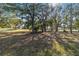 Lush green backyard with mature trees and houses in the distance at 11031 Sw 69Th Cir, Ocala, FL 34476